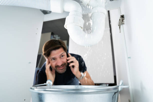 Best Plumbing Services Near Me  in Madrid, IA