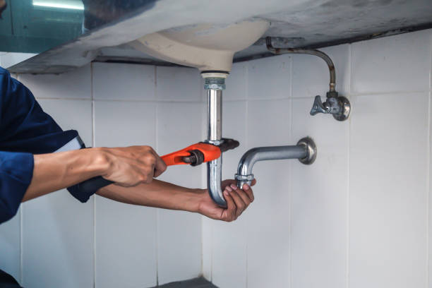 Best Clogged Drain Plumber  in Madrid, IA